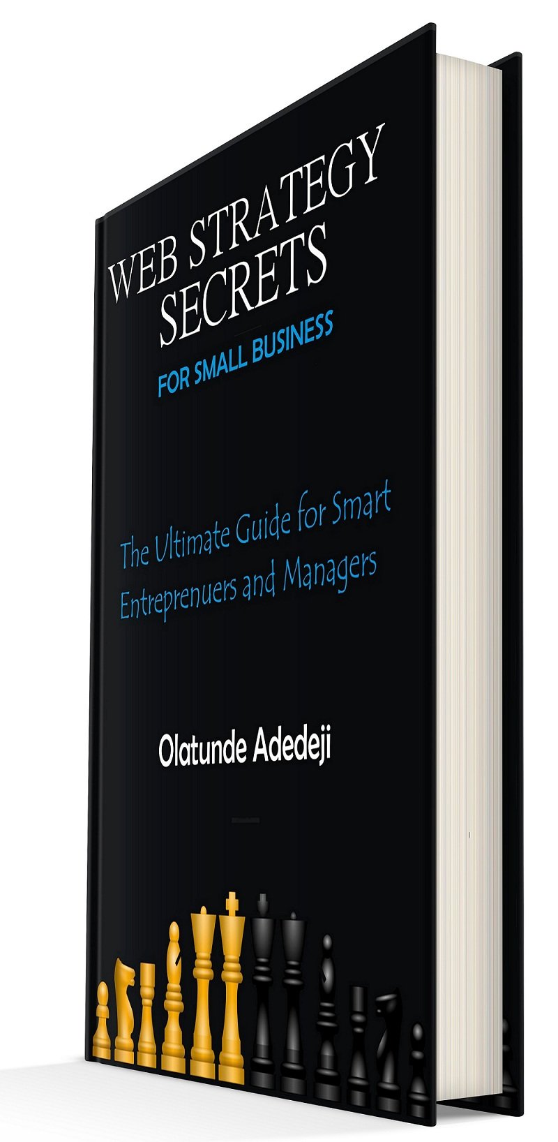 Web Strategy Secrets for Small Business
