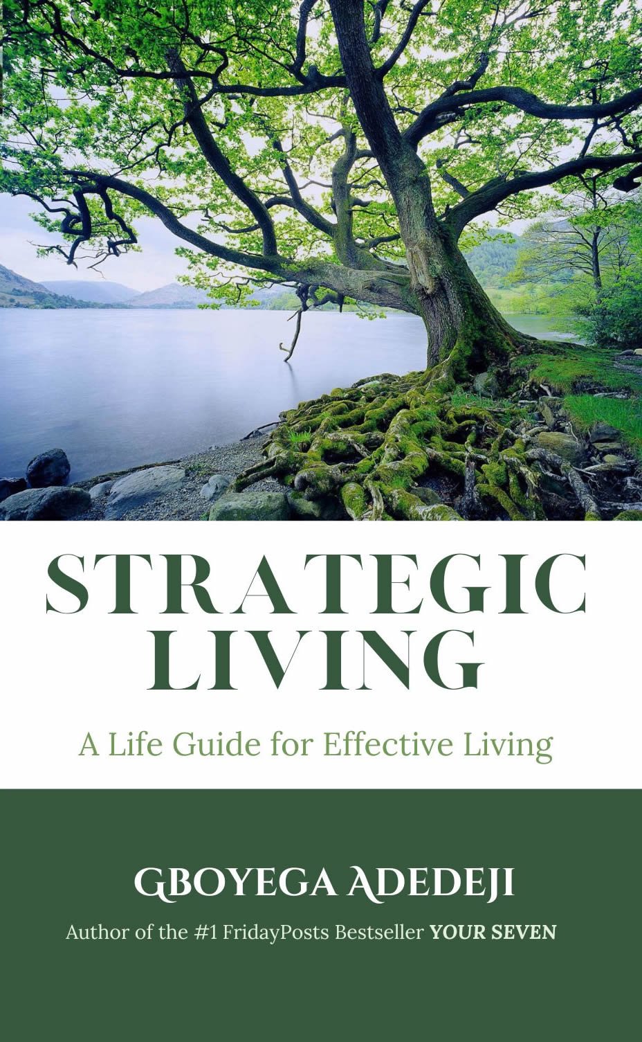 Strategic Living: A Life Guide for Effective Living